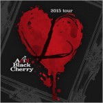 Acid Black Cherry Lツアー2015年11月24日ライブセトリとレポin日本ガイシホール1日目